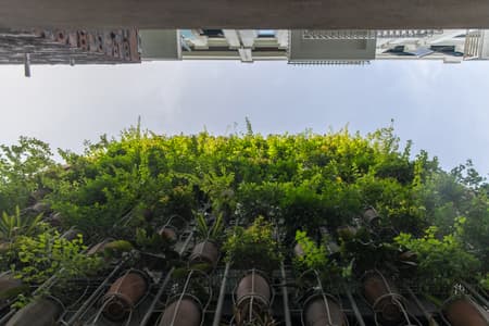 Flying Vegetation